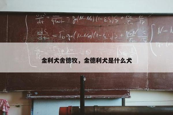 金利犬舍德牧，金德利犬是什么犬