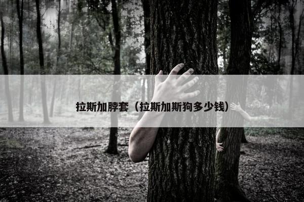 拉斯加脖套（拉斯加斯狗多少钱）