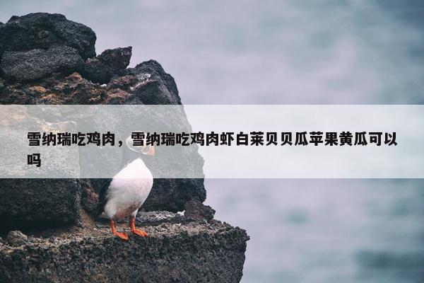 雪纳瑞吃鸡肉，雪纳瑞吃鸡肉虾白莱贝贝瓜苹果黄瓜可以吗