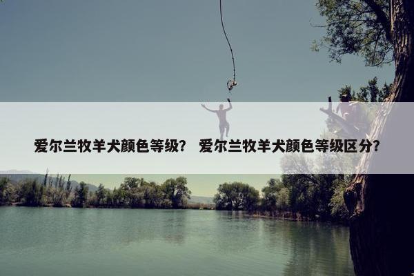 爱尔兰牧羊犬颜色等级？ 爱尔兰牧羊犬颜色等级区分？