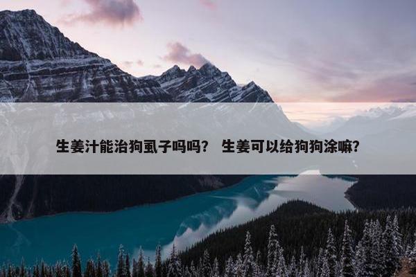 生姜汁能治狗虱子吗吗？ 生姜可以给狗狗涂嘛？