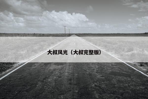 大叔风光（大叔完整版）