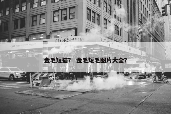 金毛短猫？ 金毛短毛图片大全？