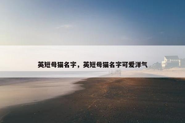 英短母猫名字，英短母猫名字可爱洋气