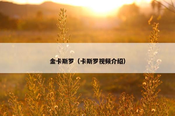 金卡斯罗（卡斯罗视频介绍）