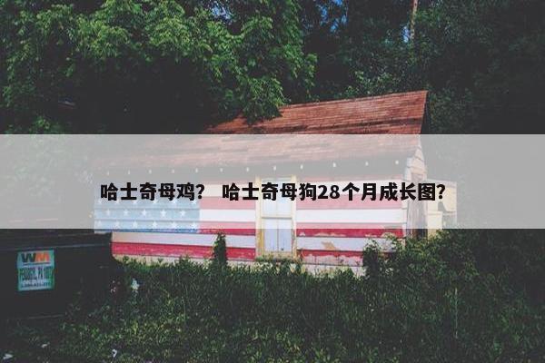 哈士奇母鸡？ 哈士奇母狗28个月成长图？