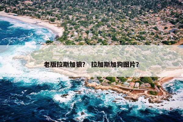 老版拉斯加狼？ 拉加斯加狗图片？