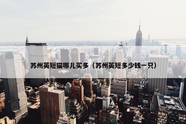 苏州英短猫哪儿买多（苏州英短多少钱一只）