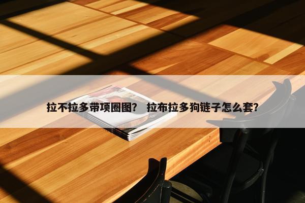 拉不拉多带项圈图？ 拉布拉多狗链子怎么套？