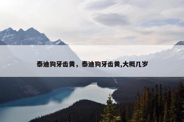 泰迪狗牙齿黄，泰迪狗牙齿黄,大概几岁