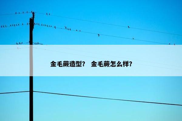 金毛蕨造型？ 金毛蕨怎么样？