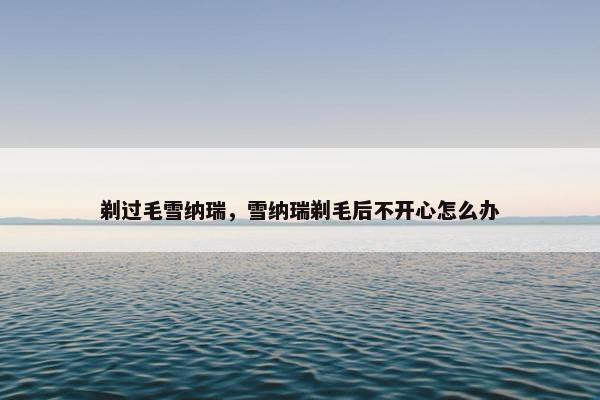剃过毛雪纳瑞，雪纳瑞剃毛后不开心怎么办