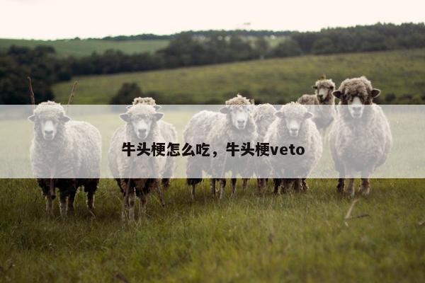 牛头梗怎么吃，牛头梗veto