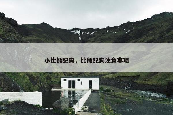 小比熊配狗，比熊配狗注意事项