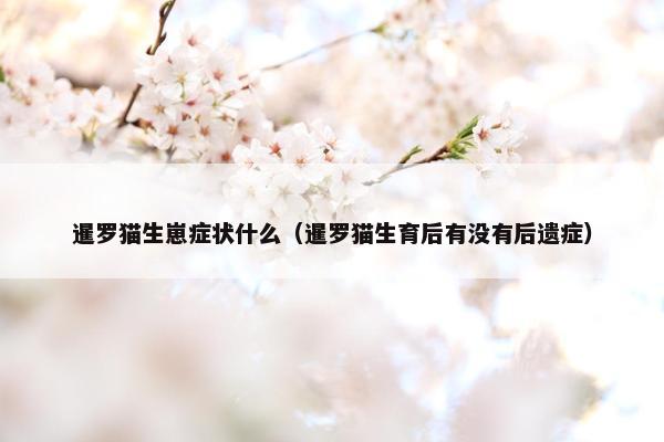 暹罗猫生崽症状什么（暹罗猫生育后有没有后遗症）