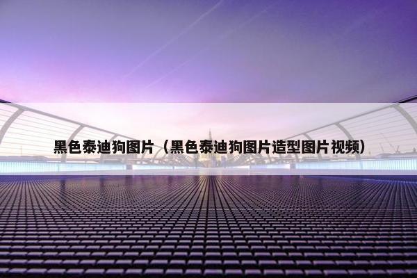 黑色泰迪狗图片（黑色泰迪狗图片造型图片视频）