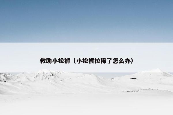 救助小松狮（小松狮拉稀了怎么办）