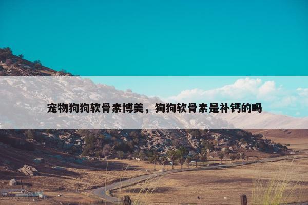 宠物狗狗软骨素博美，狗狗软骨素是补钙的吗