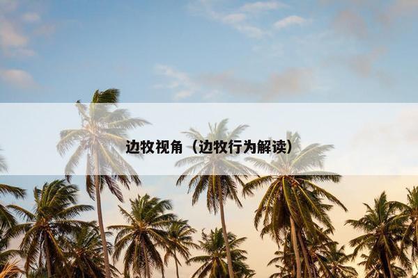 边牧视角（边牧行为解读）