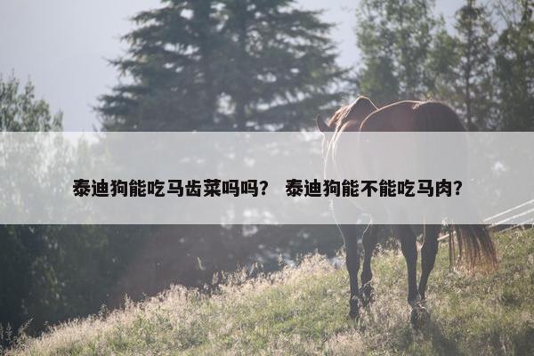 泰迪狗能吃马齿菜吗吗？ 泰迪狗能不能吃马肉？