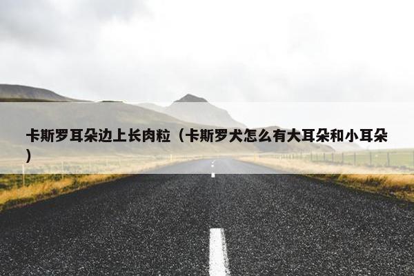 卡斯罗耳朵边上长肉粒（卡斯罗犬怎么有大耳朵和小耳朵）