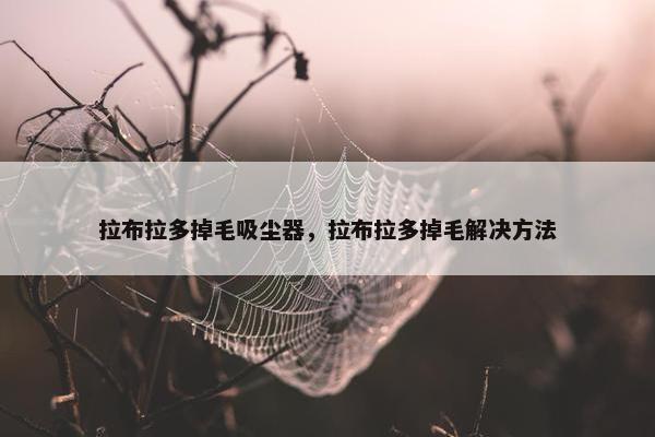 拉布拉多掉毛吸尘器，拉布拉多掉毛解决方法