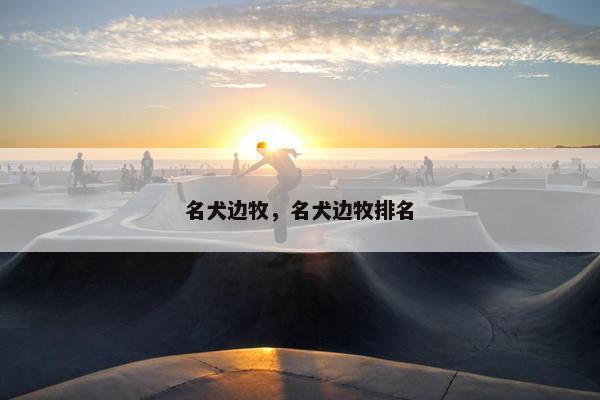 名犬边牧，名犬边牧排名