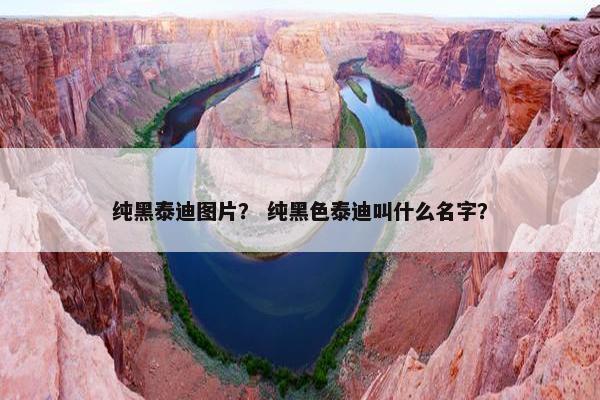 纯黑泰迪图片？ 纯黑色泰迪叫什么名字？