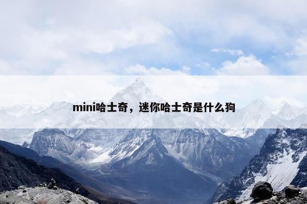 mini哈士奇，迷你哈士奇是什么狗