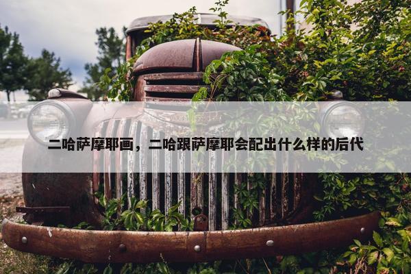 二哈萨摩耶画，二哈跟萨摩耶会配出什么样的后代