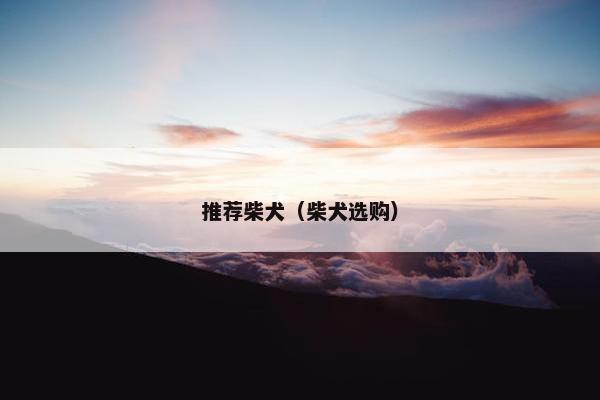 推荐柴犬（柴犬选购）