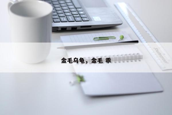 金毛乌龟，金毛 乖