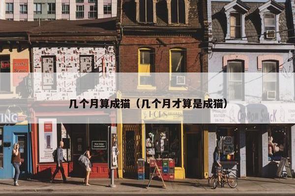 几个月算成猫（几个月才算是成猫）