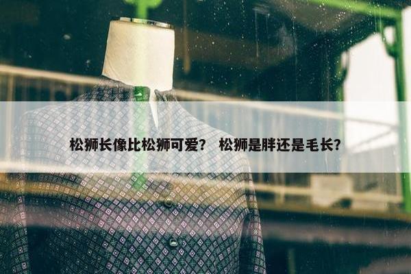 松狮长像比松狮可爱？ 松狮是胖还是毛长？