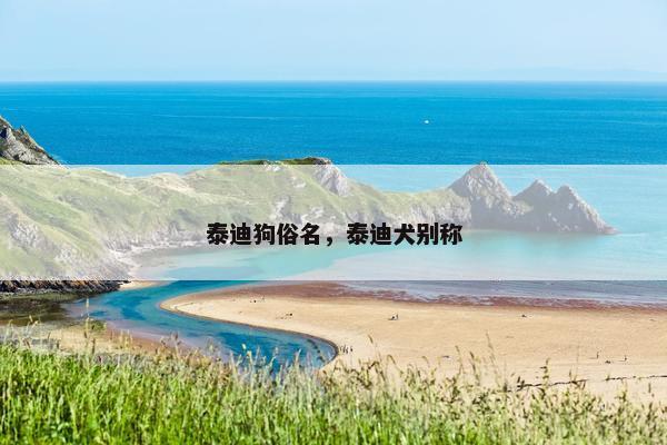 泰迪狗俗名，泰迪犬别称