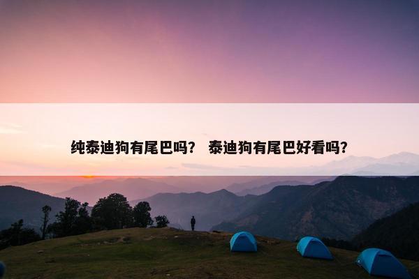 纯泰迪狗有尾巴吗？ 泰迪狗有尾巴好看吗？