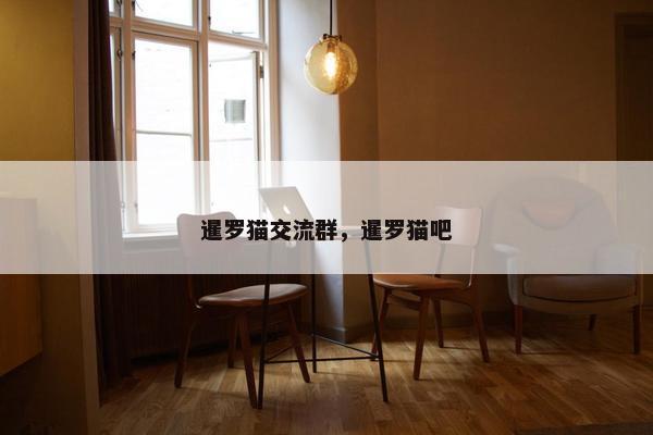 暹罗猫交流群，暹罗猫吧