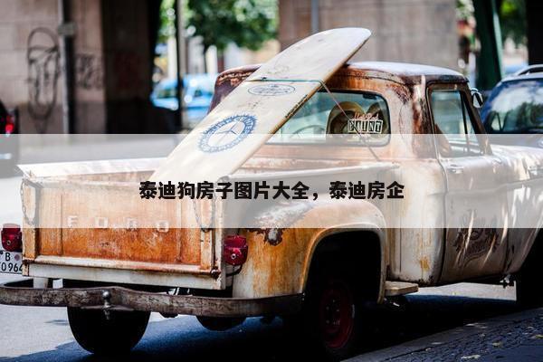 泰迪狗房子图片大全，泰迪房企