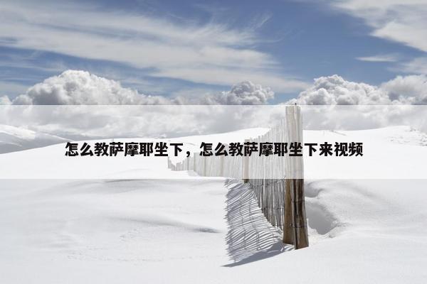 怎么教萨摩耶坐下，怎么教萨摩耶坐下来视频