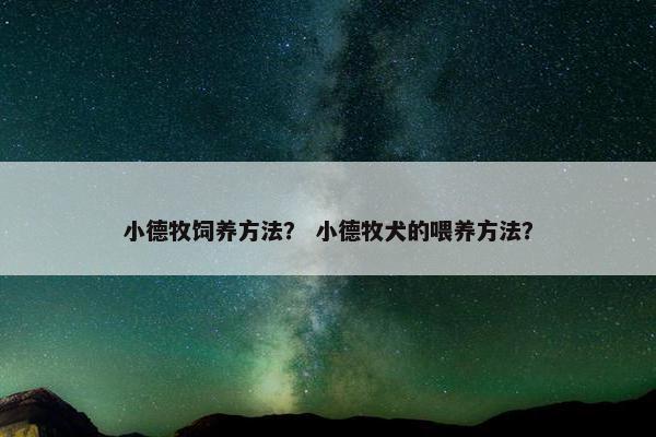 小德牧饲养方法？ 小德牧犬的喂养方法？
