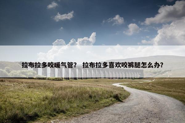 拉布拉多咬暖气管？ 拉布拉多喜欢咬裤腿怎么办？