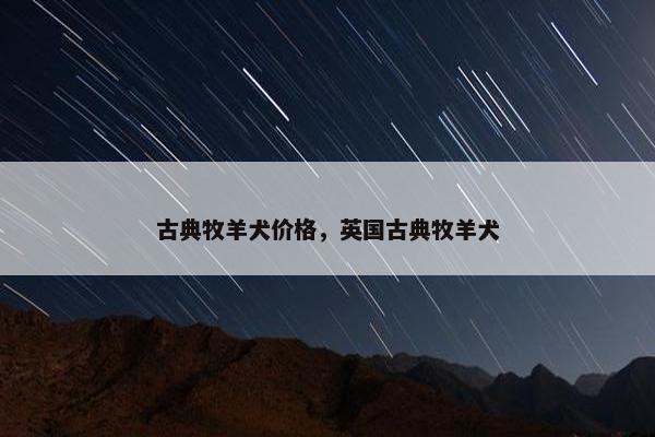 古典牧羊犬价格，英国古典牧羊犬