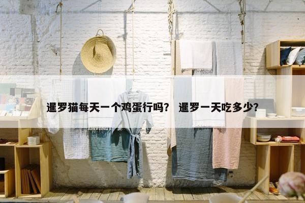 暹罗猫每天一个鸡蛋行吗？ 暹罗一天吃多少？