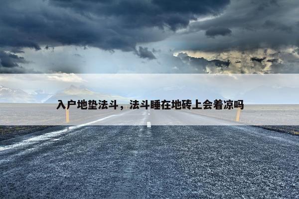 入户地垫法斗，法斗睡在地砖上会着凉吗