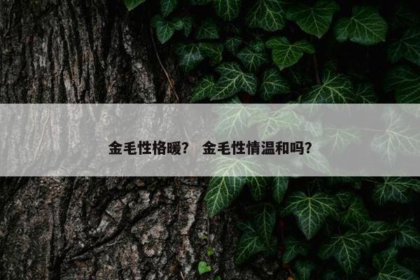 金毛性格暖？ 金毛性情温和吗？