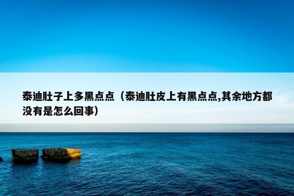 泰迪肚子上多黑点点（泰迪肚皮上有黑点点,其余地方都没有是怎么回事）