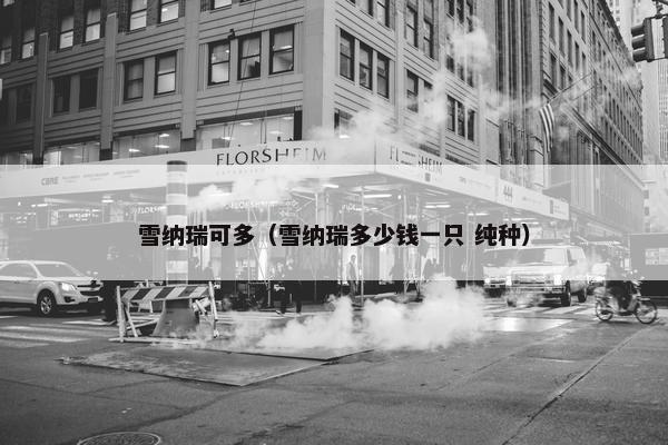 雪纳瑞可多（雪纳瑞多少钱一只 纯种）