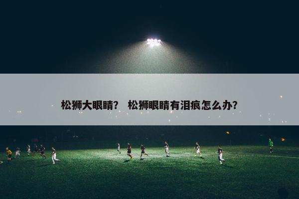 松狮大眼睛？ 松狮眼睛有泪痕怎么办？