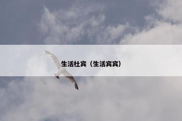 生活杜宾（生活宾宾）