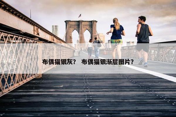 布偶猫银灰？ 布偶猫银渐层图片？